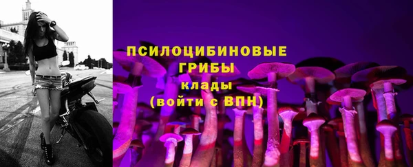 кокс Покачи