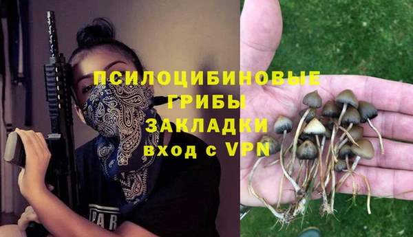 прущий лед Абаза