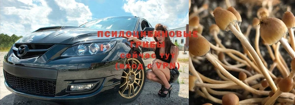 кокс Покачи