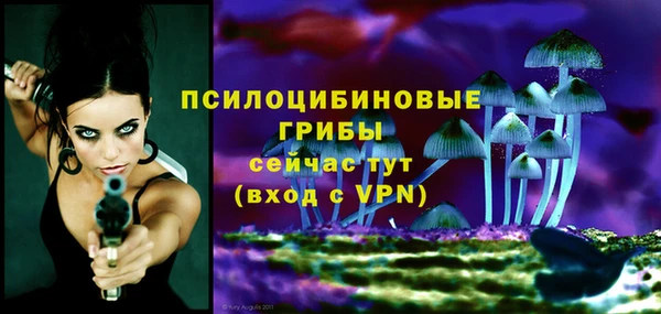 прущий лед Абаза
