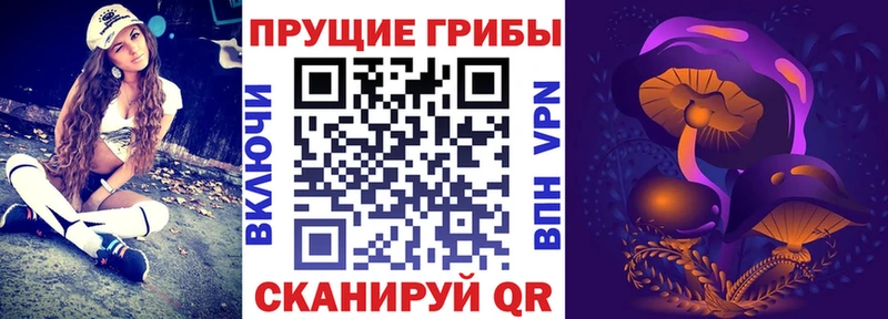 Галлюциногенные грибы Magic Shrooms  купить закладку  Карталы 