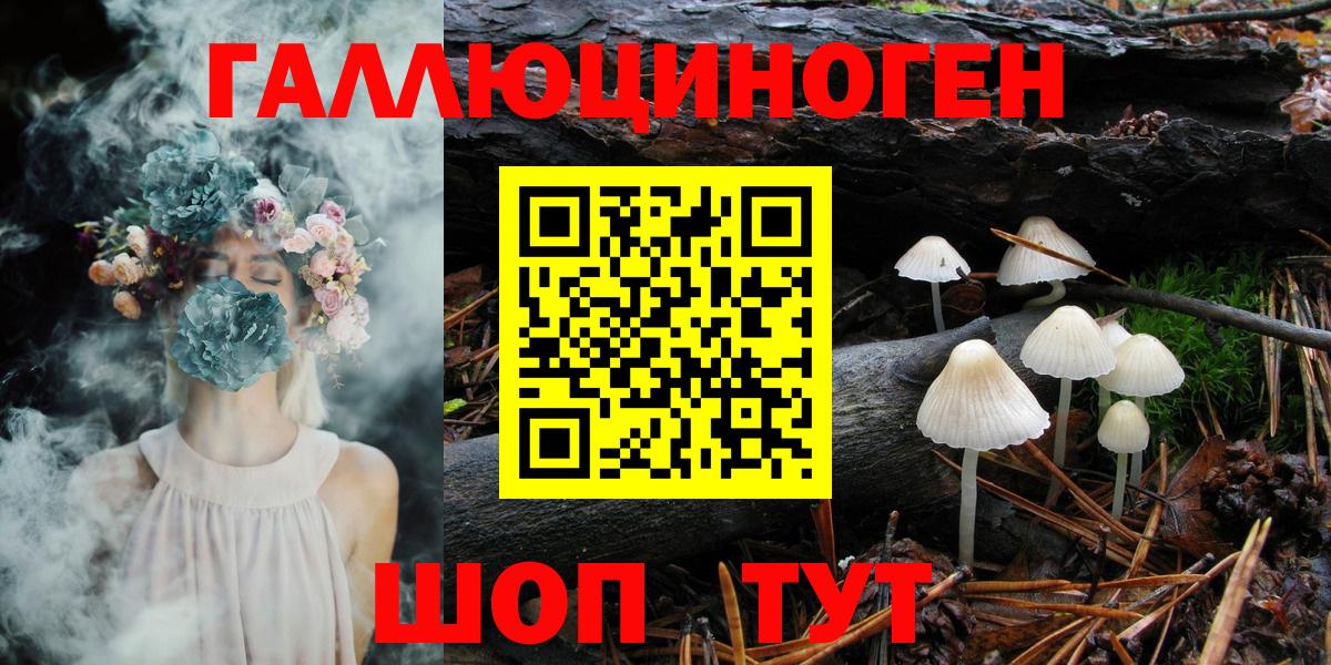 Карталы  Галлюциногенные грибы Psilocybe  Вход с VPN 