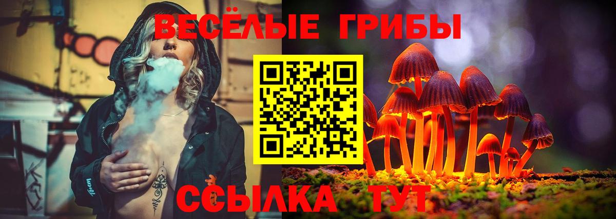 Галлюциногенные грибы MAGIC MUSHROOMS Карталы